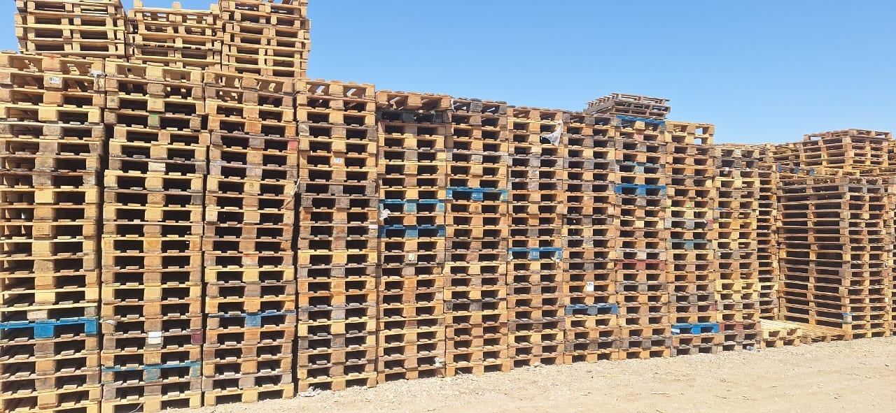 Plastic Pallets